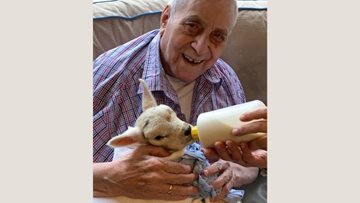 Spring is in the air with baby lamb visitors to Coventry care home